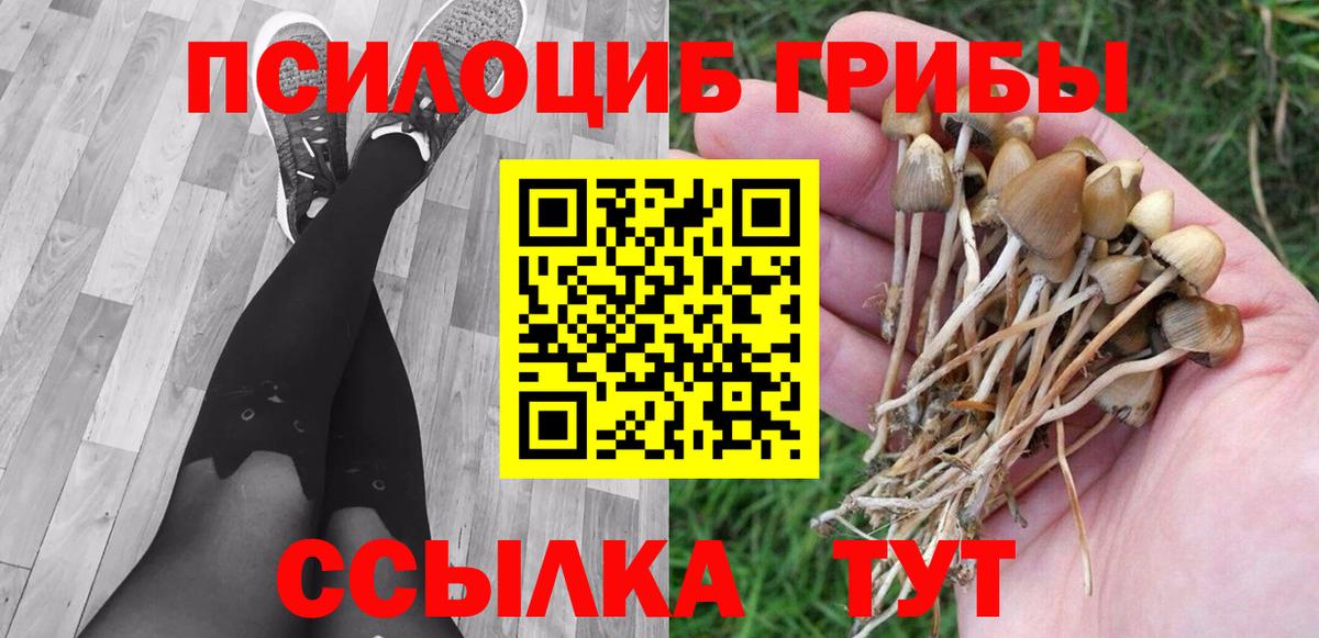 Псилоцибиновые грибы прущие грибы Бахчисарай